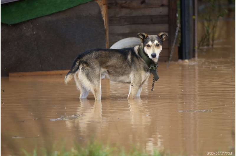 Severe Flash Floods in Bosnia Force Evacuations and Cause Power Outages