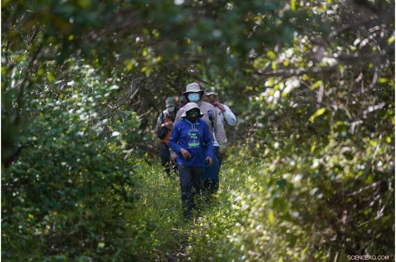 Restoring Mexico s Mangroves Protects Coasts and Sequesters Carbon