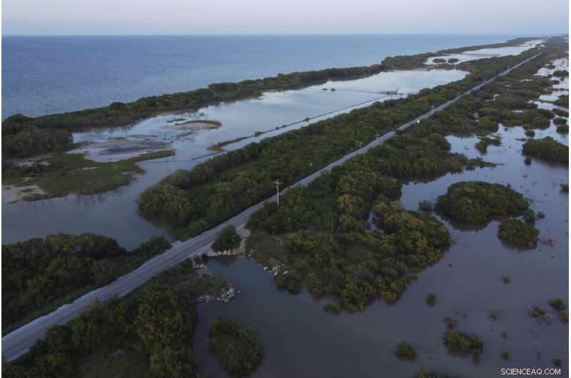 Restoring Mexico s Mangroves Protects Coasts and Sequesters Carbon