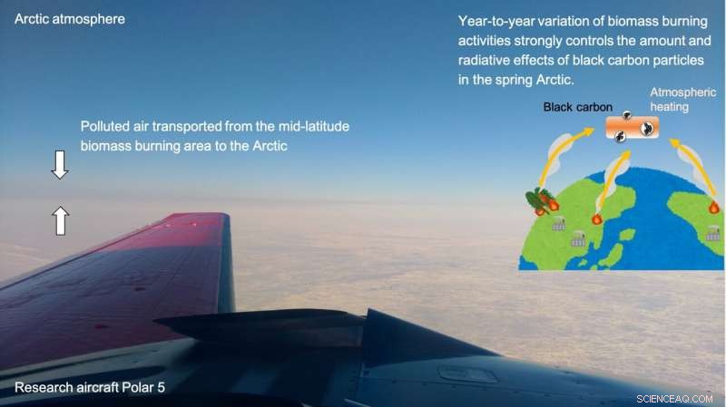 Black Carbon Aerosols Warm the Arctic: Mid‑Latitude Biomass Burning Drives Significant Heat Uptake