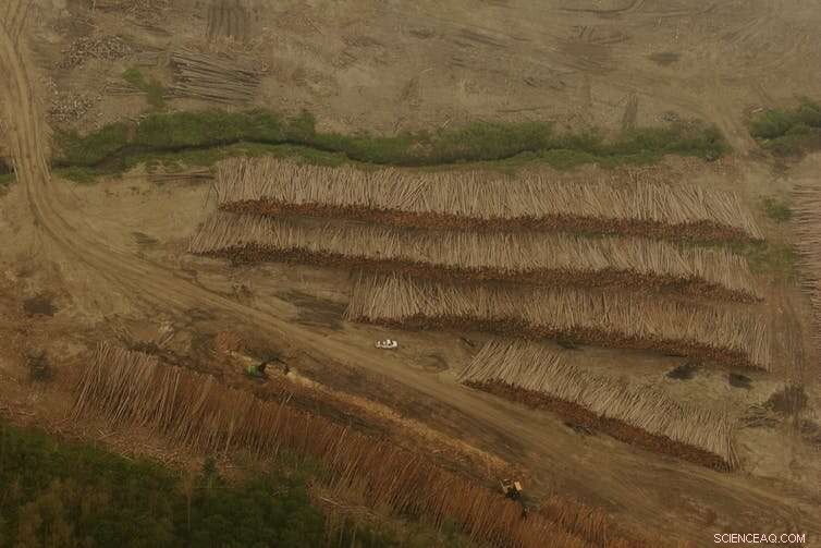 Canada Faces Carbon Accounting and Industry Hurdles to Achieve COP26 Deforestation Targets