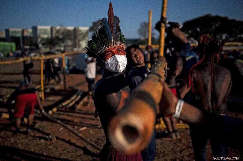 Amazon Rainforest on the Edge: The Urgent Impact of Deforestation and Climate Change