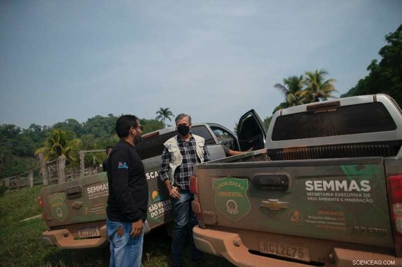 Amazon Rainforest on the Edge: The Urgent Impact of Deforestation and Climate Change