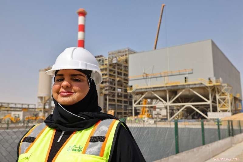 UAE Turns Waste into Energy with New Incinerator Power Plants