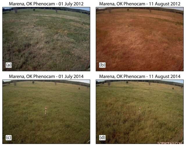 Global Study Uncovers Patterns, Causes, and Trends of Flash Droughts