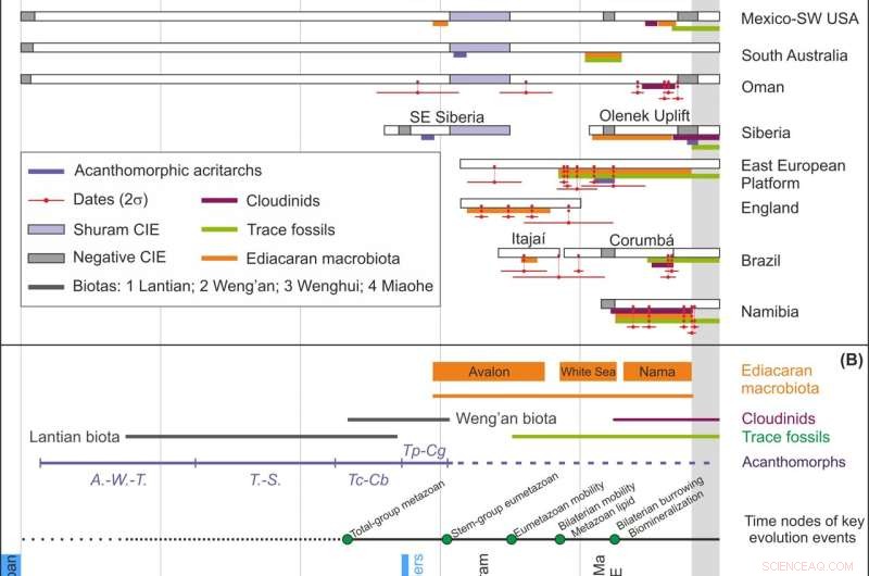 New Precise Radiometric Dating Unveils Fine-Scale Ediacaran Timescale
