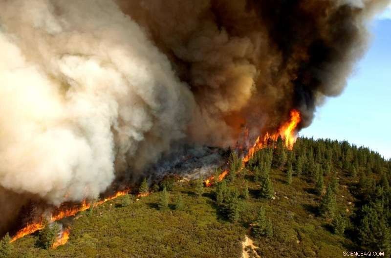 Mapping California’s Annual Wildfire Risk: New UCSB Insights