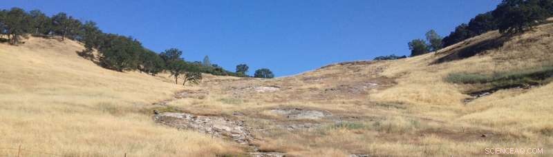 Extreme Environments Reveal Clues to Life Beyond Earth