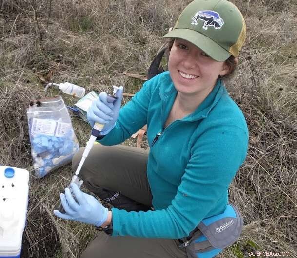 Extreme Environments Reveal Clues to Life Beyond Earth