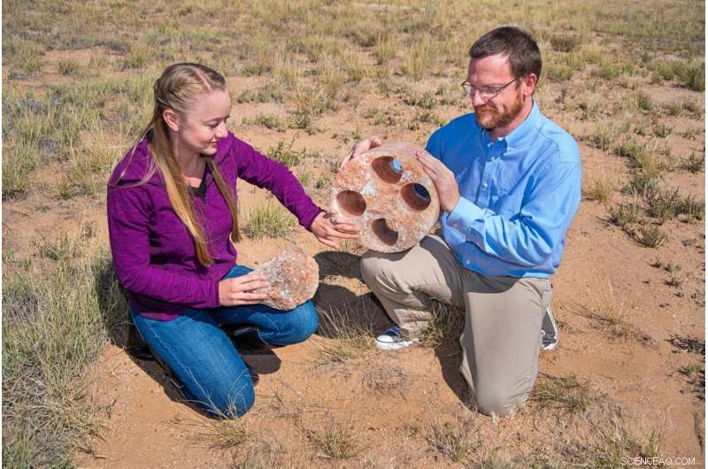 Investigating Heat Impact on Salt-Bed Nuclear Waste Repository Dynamics