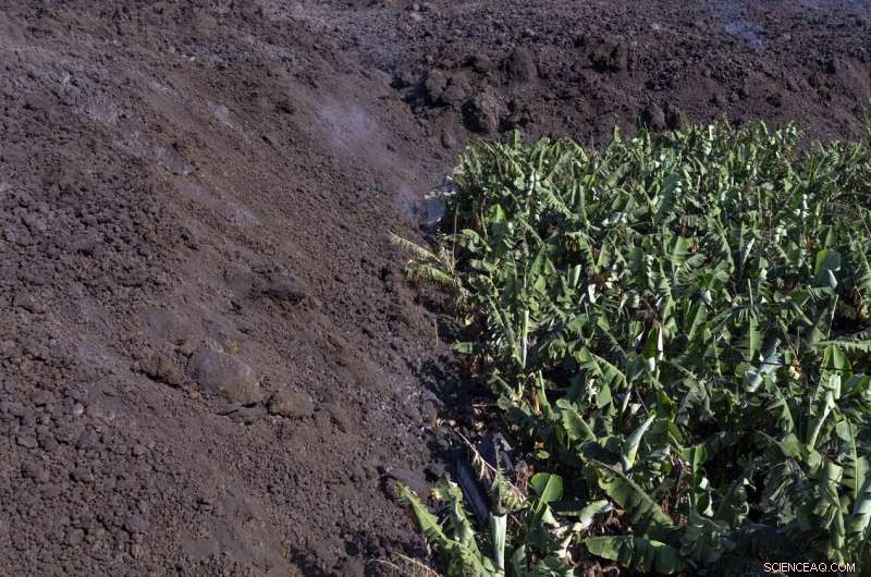 La Palma Volcano Ash Forces Residents Indoors Amid Ongoing Eruption