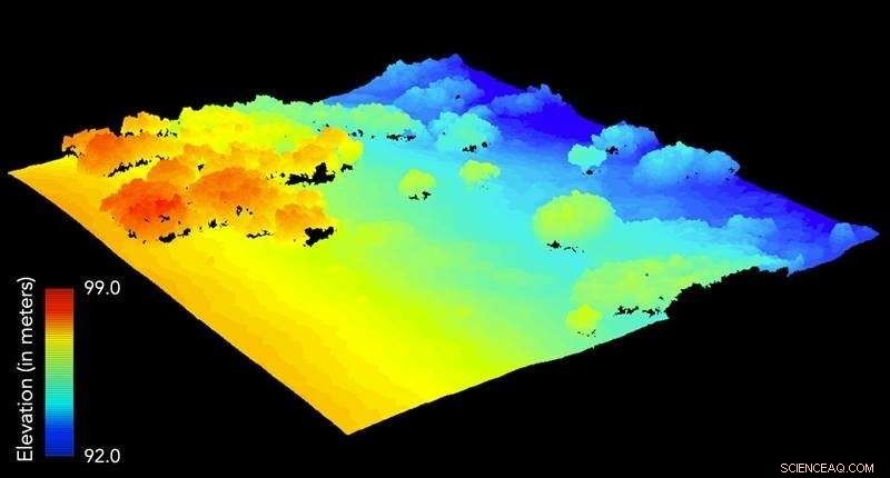 Drone Surveys Unlock High-Resolution Arctic Tundra Vegetation Data for Climate Research