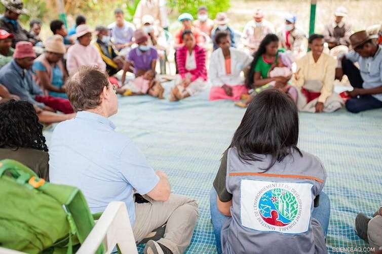 COP26 s Forest Loss Goal: Why Reversal by 2030 Is Uncertain