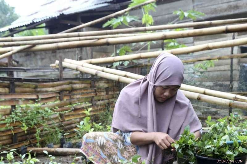 How Private Sector Leadership Can Drive Climate Solutions by Prioritizing Nature