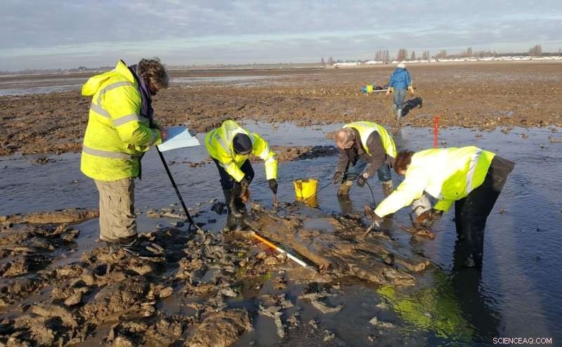 A Century of Coastal Change on Mersea Island: Archaeological Insights