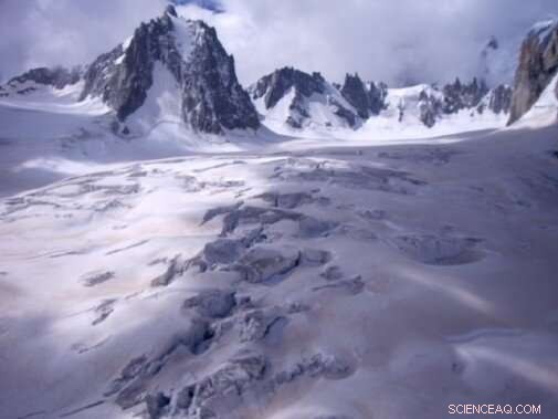 Majority Fear Climate Change Outweighs COVID-19, New York Survey Shows