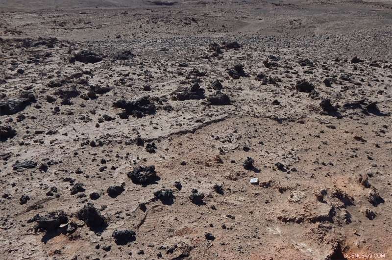 Massive Glassy Rocks in Chile s Atacama Desert Reveal Ancient Comet Explosion