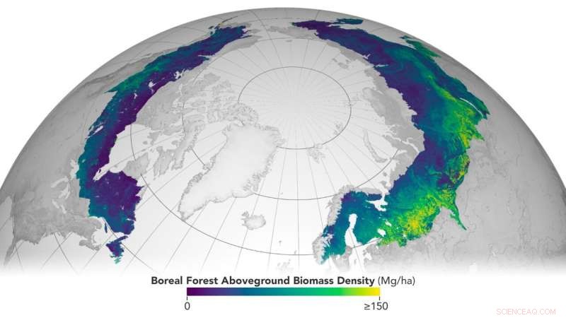 ESA and NASA Release First Global, Harmonized Above‑Ground Biomass Assessment