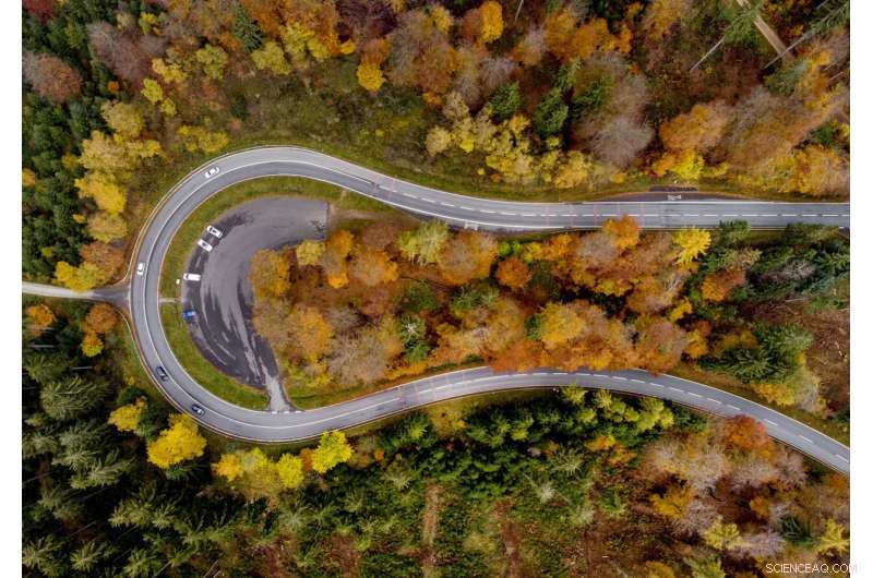 COP26: Leaders Commit to End Deforestation and Stop Methane Leaks