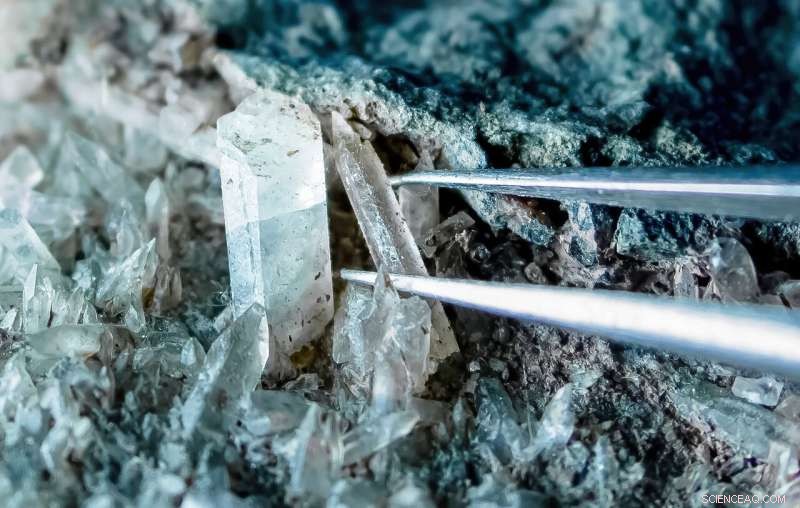 Evidence Suggests Microbes Thrived Underground for Over a Billion Years