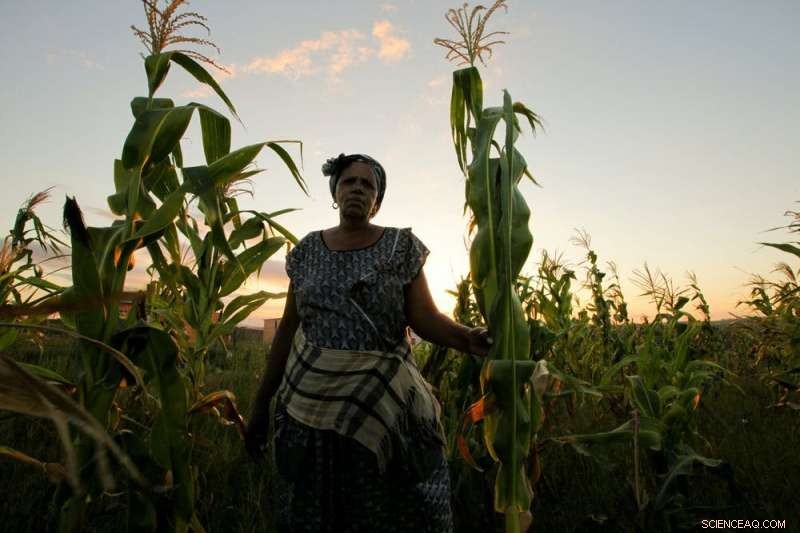 COP26 Explained in 4 Minutes by a Climate Scientist