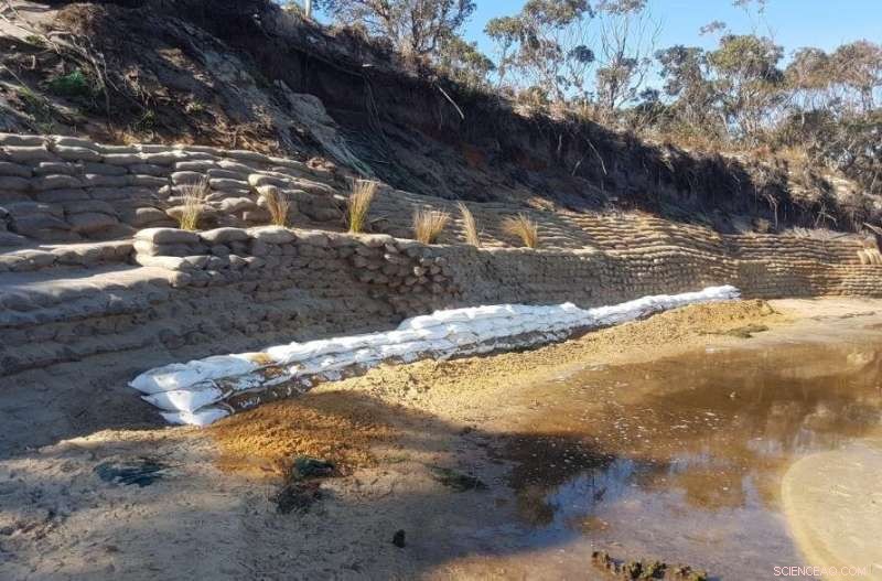 Empowering Indigenous Land Management: Emission Reduction and Carbon Economy Strategies