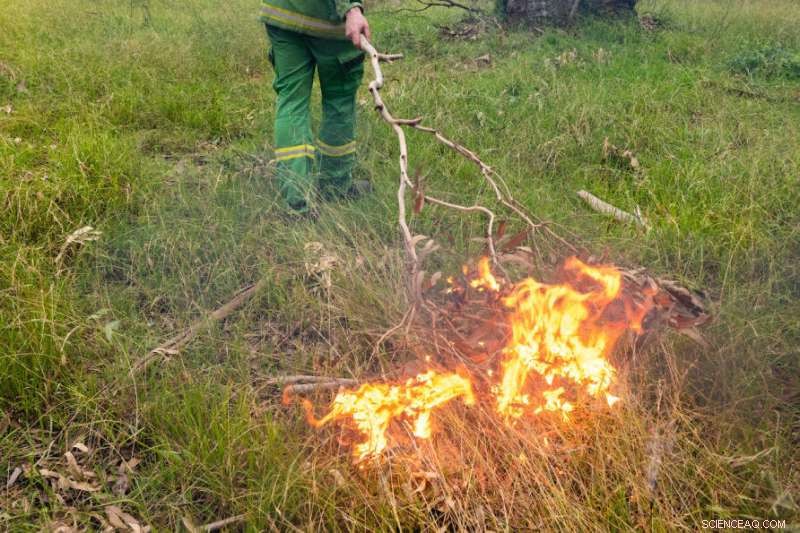 Empowering Indigenous Land Management: Emission Reduction and Carbon Economy Strategies