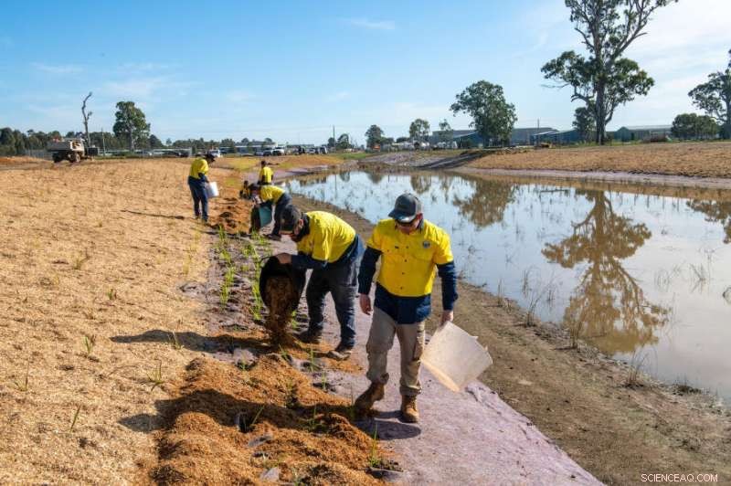 Empowering Indigenous Land Management: Emission Reduction and Carbon Economy Strategies