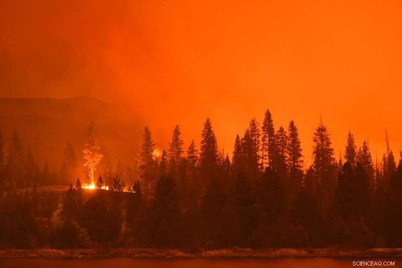 UN Warns: Seven Recent Years Ranked Hottest on Record