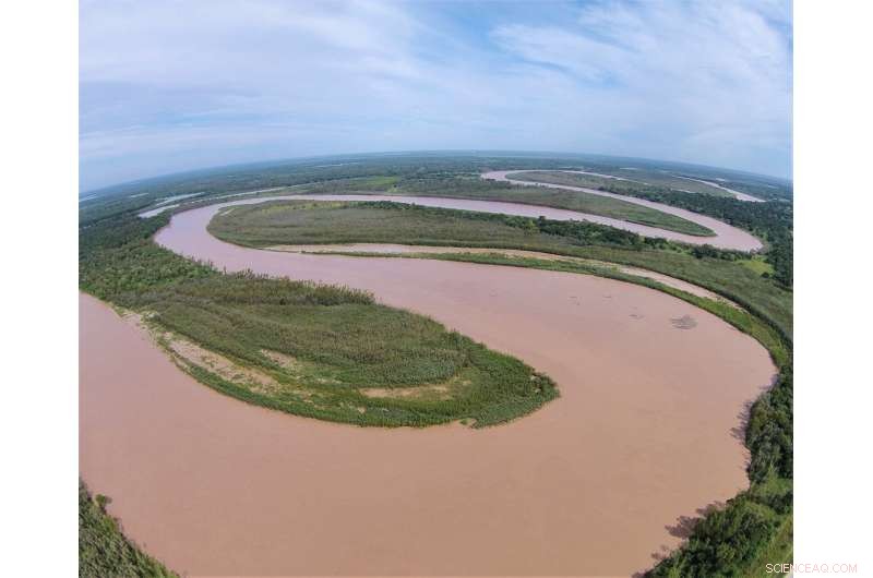 Naturally Meandering River Beds Outperform Straightened Channels as Carbon Sinks