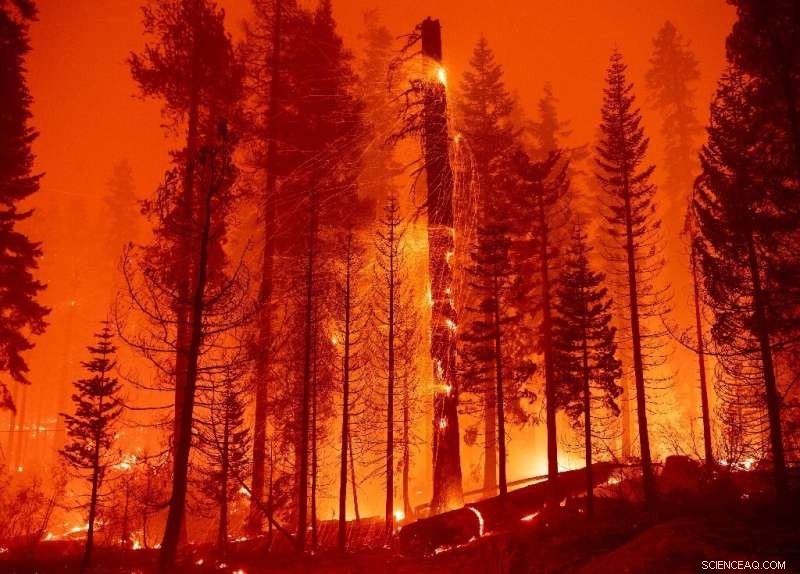 From Drought to Downpour: California s Weather Whiplash Signals Climate Change