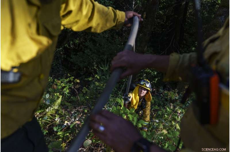 Tribal Fires: Restoring Nature & Communities Through Ancient Fire Practices