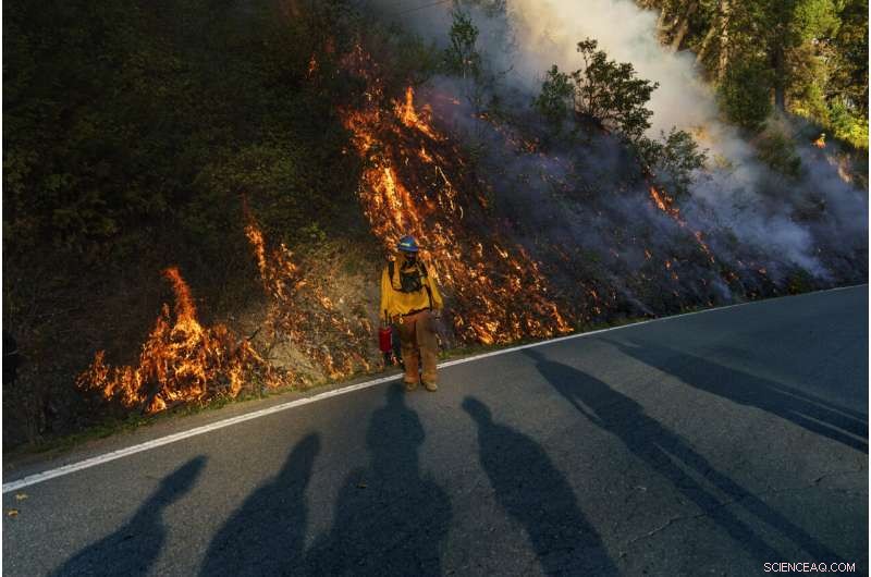 Tribal Fires: Restoring Nature & Communities Through Ancient Fire Practices