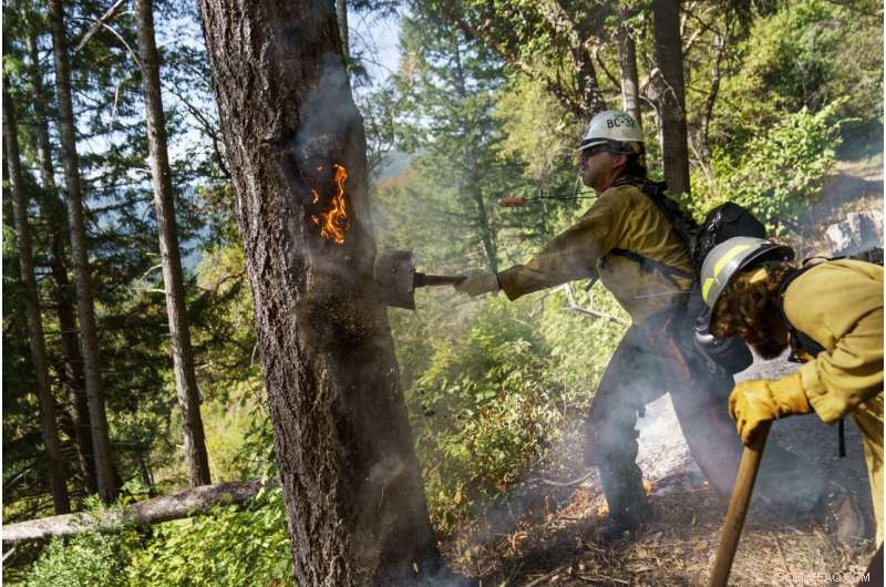 Tribal Fires: Restoring Nature & Communities Through Ancient Fire Practices