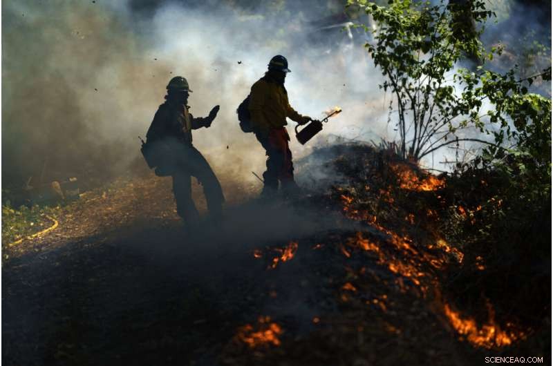 Tribal Fires: Restoring Nature & Communities Through Ancient Fire Practices