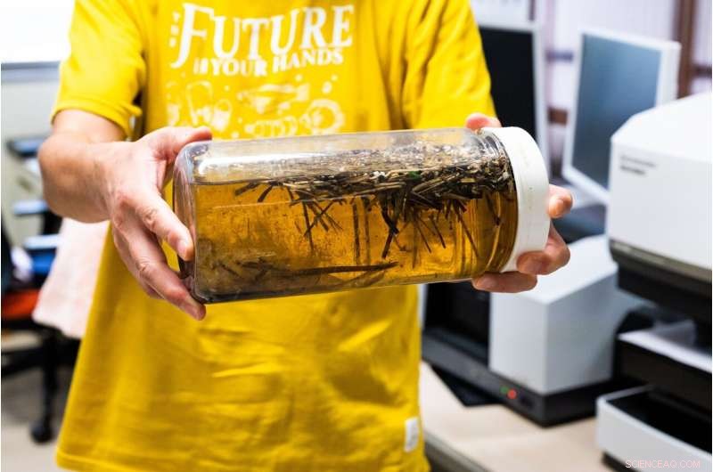 New Study Reveals 24 Trillion Microplastic Particles in Oceans— Numbers Continue to Rise