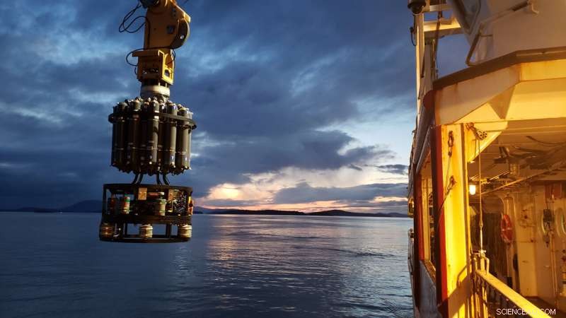 Heatwaves Like the Blob Could Diminish the Ocean’s Role as a Carbon Sink