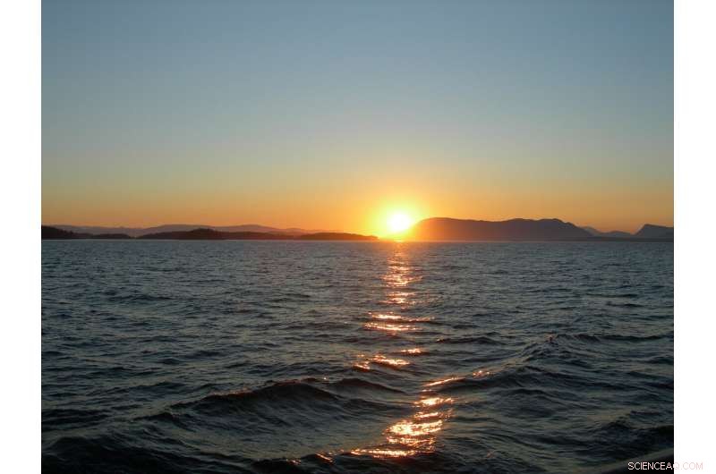 Heatwaves Like the Blob Could Diminish the Ocean’s Role as a Carbon Sink