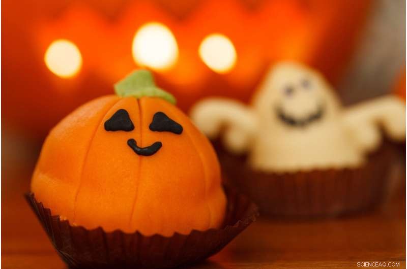Halloween Treats: Uncovering Their Environmental Footprint