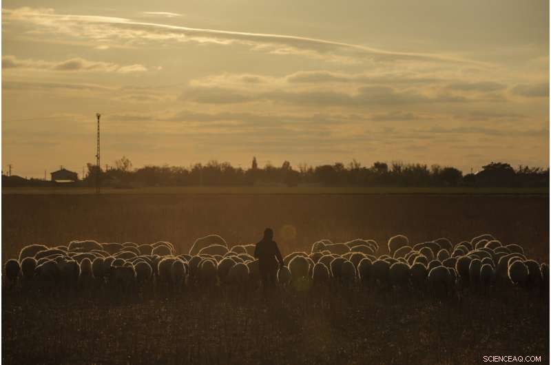 Lake Tuz in Turkey Vanishes: Climate Change and Unsustainable Agriculture Drive Crisis