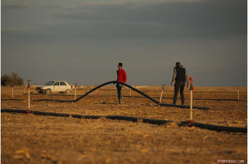Lake Tuz in Turkey Vanishes: Climate Change and Unsustainable Agriculture Drive Crisis