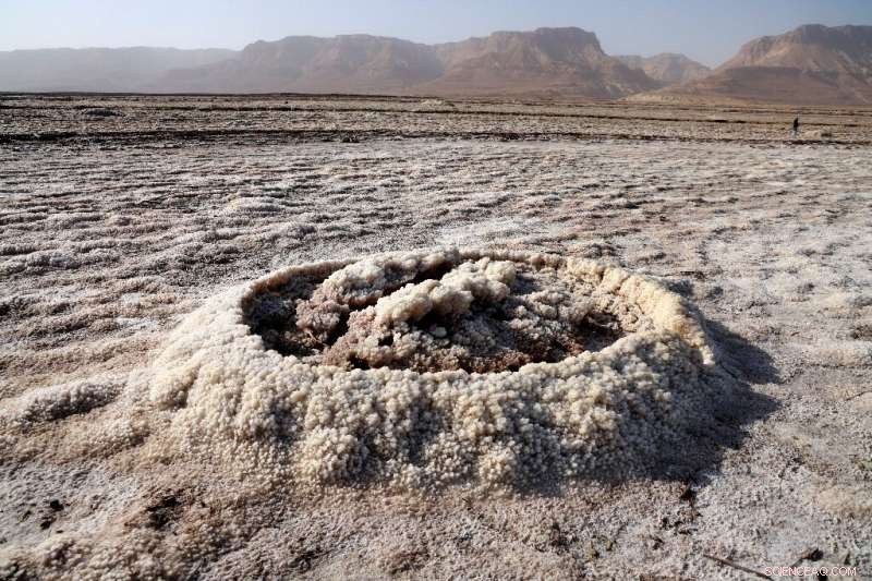 Sinkholes on the Shrinking Dead Sea Shore Highlight Nature s Response