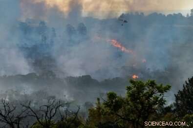 New Study Reveals How Amazon Forest Fires Shape Rain Cloud Formation