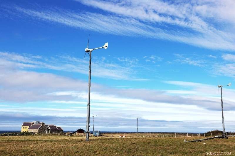 Seaweed‑Feeding Sheep of North Ronaldsay Pave Way to Low‑Methane Farming