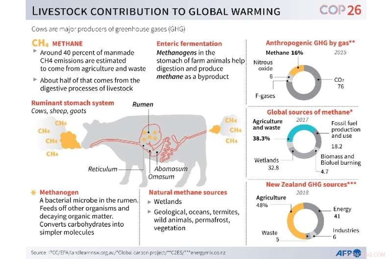 New Zealand Researchers Tackle Livestock Emissions to Cut Global Greenhouse Gases