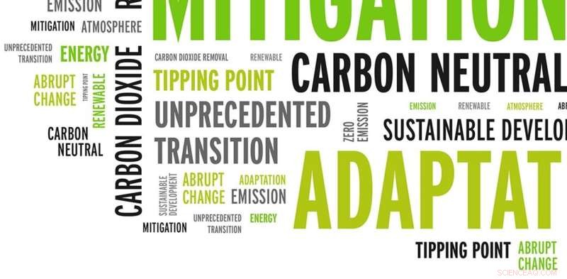 Climate Change Jargon Explained: Mitigation, Carbon Neutrality & 6 Key Terms