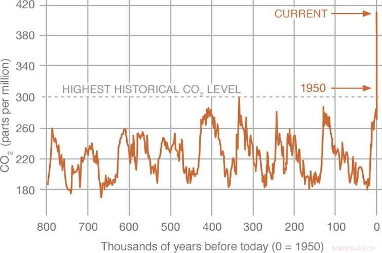 Climate Change Jargon Explained: Mitigation, Carbon Neutrality & 6 Key Terms