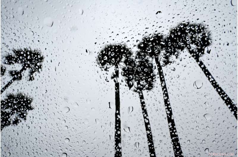 Atmospheric River Delivers Critical Rainfall to Drought-Stricken California