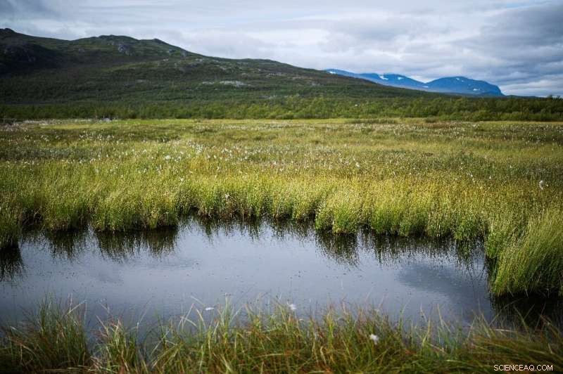 Permafrost: A Looming Carbon Crisis