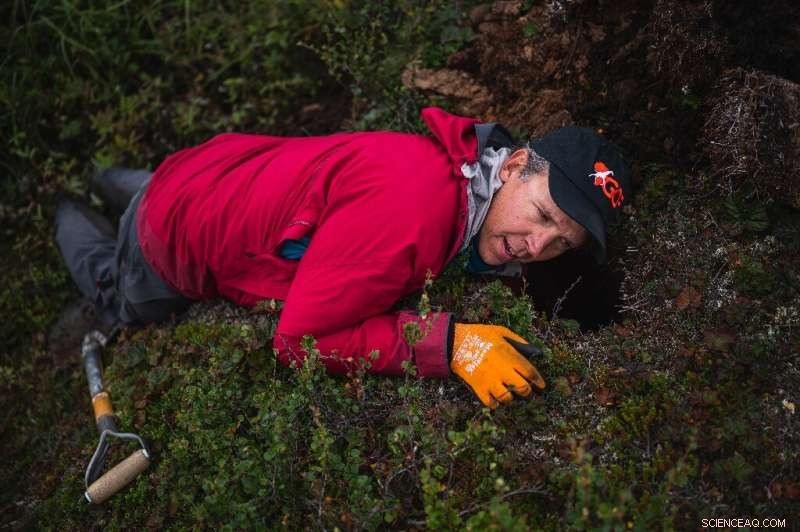 Permafrost: A Looming Carbon Crisis